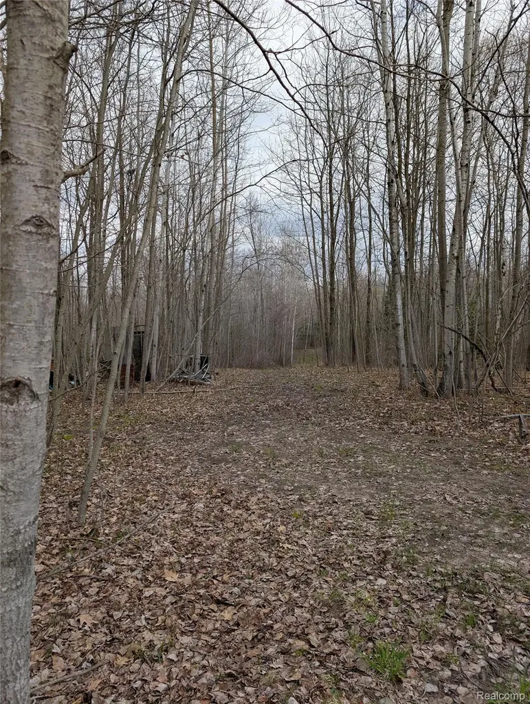 2889 Mill Station Road E Plainfield Township MI 48739
