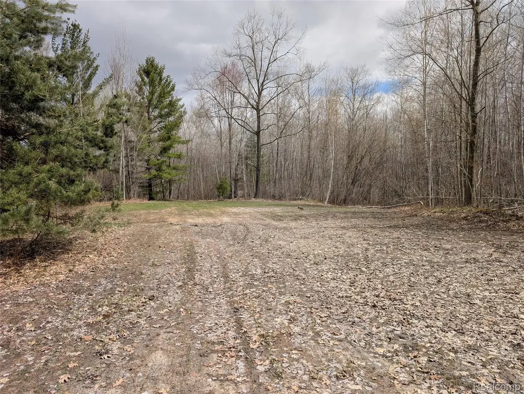 2889 Mill Station Road E Plainfield Township MI 48739