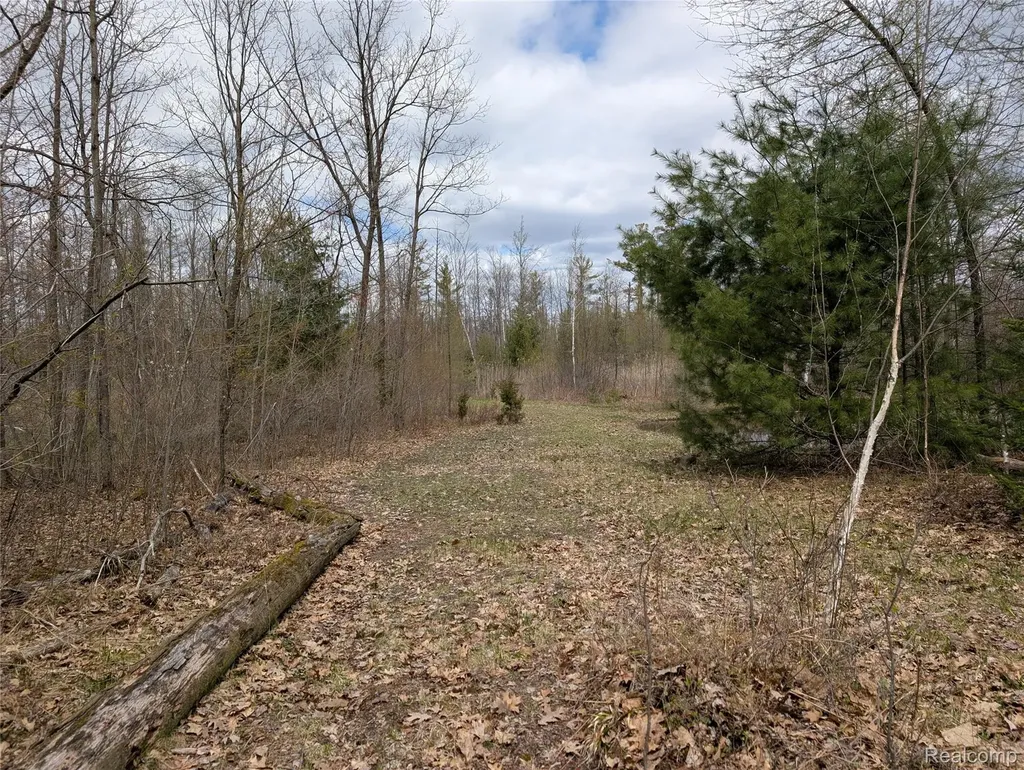 2889 Mill Station Road E Plainfield Township MI 48739