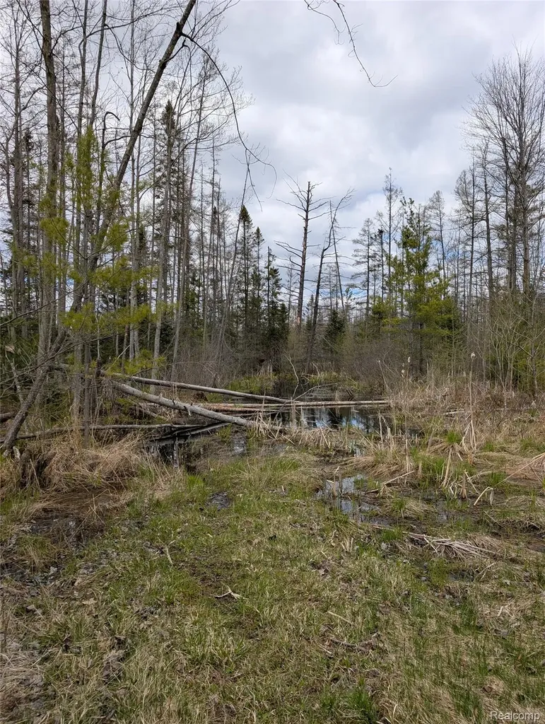 2889 Mill Station Road E Plainfield Township MI 48739