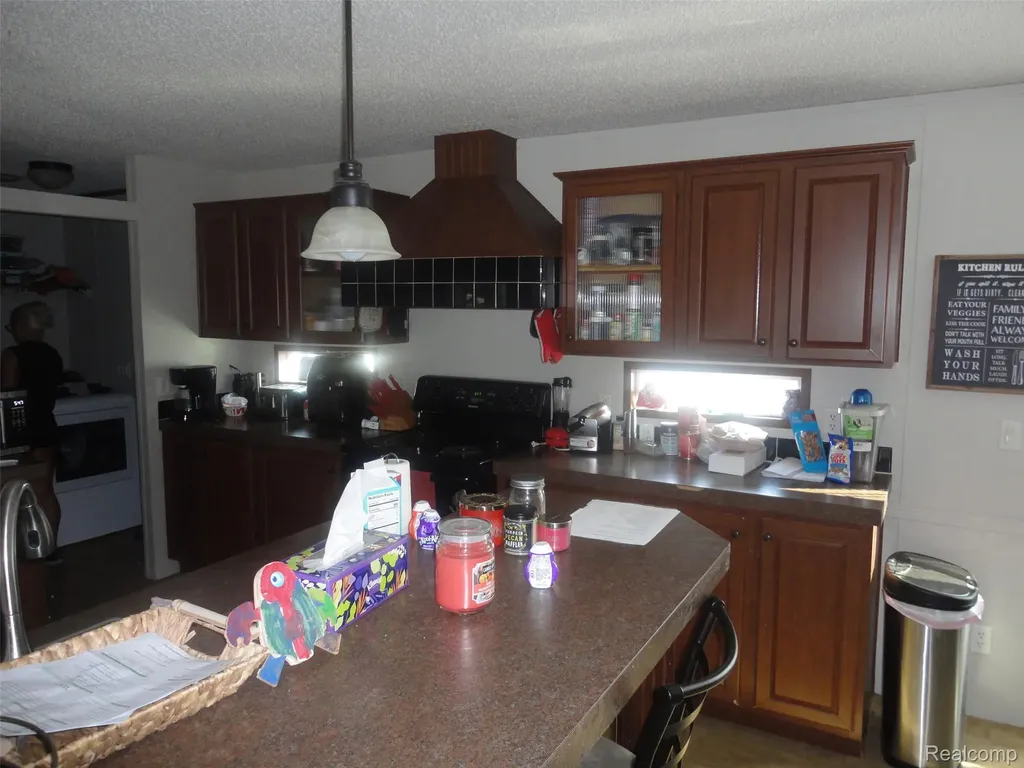 955 Cameron Circle Raisinville Township MI 48161