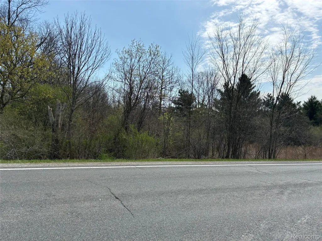 0004 Vincent Road Clyde Township MI 48049