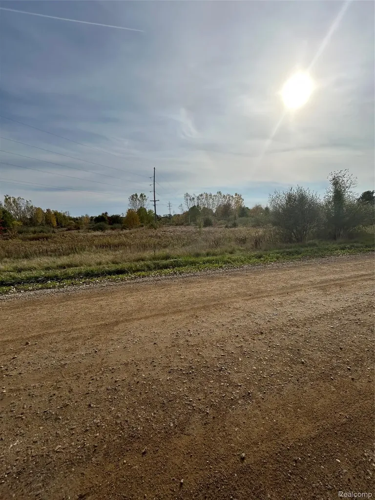 Tbd E Brooks Road Venice Township MI 48449