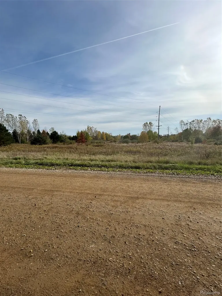Tbd E Brooks Road Venice Township MI 48449