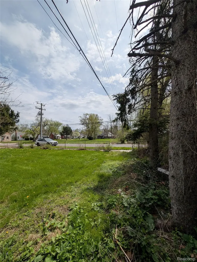 20505 Hamburg Street Detroit City MI 48205