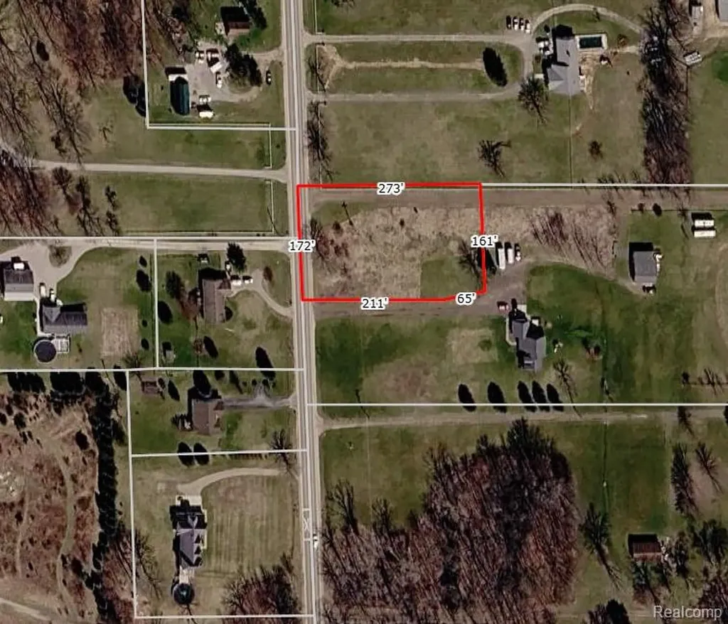 V/l Nicholson Handy Township MI 48836
