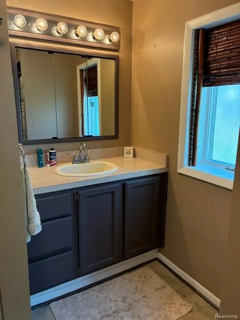16280 Softwater Lake Drive Linden City MI 48451