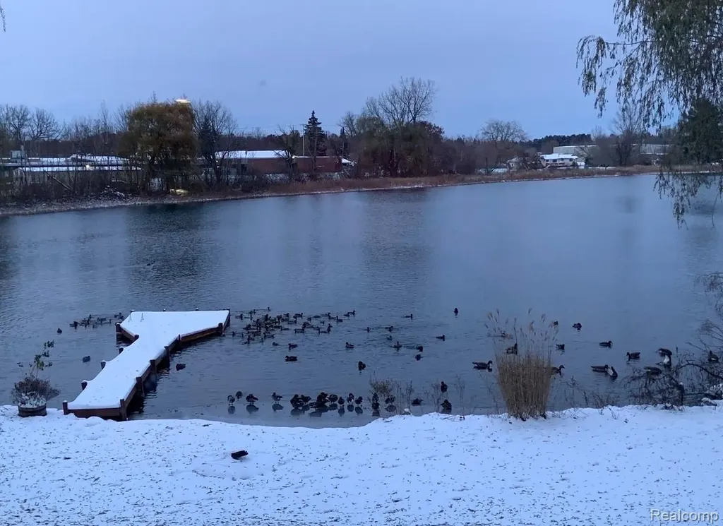 16280 Softwater Lake Drive Linden City MI 48451