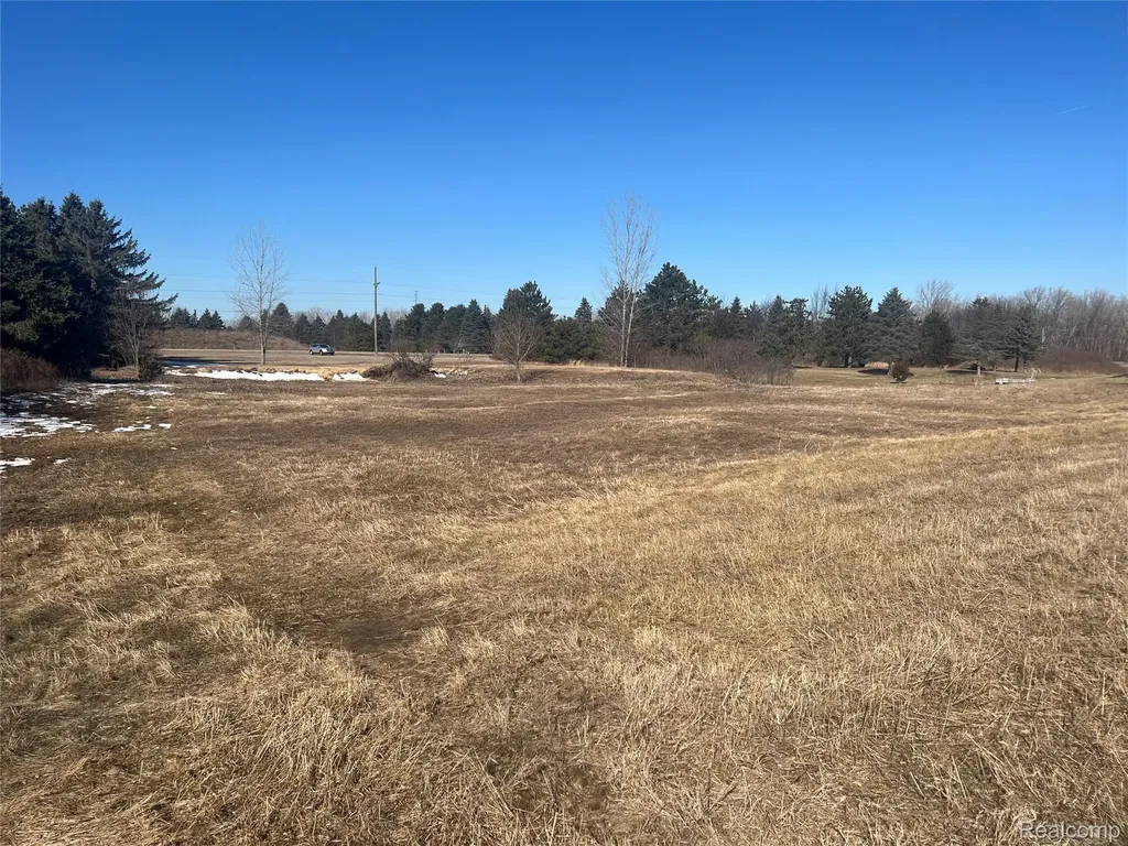 Vl Mertz Road Fremont Township MI 48744