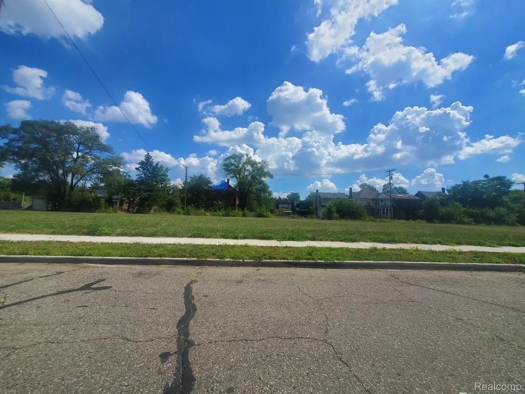 11810 Ohio Street Detroit City MI 48204