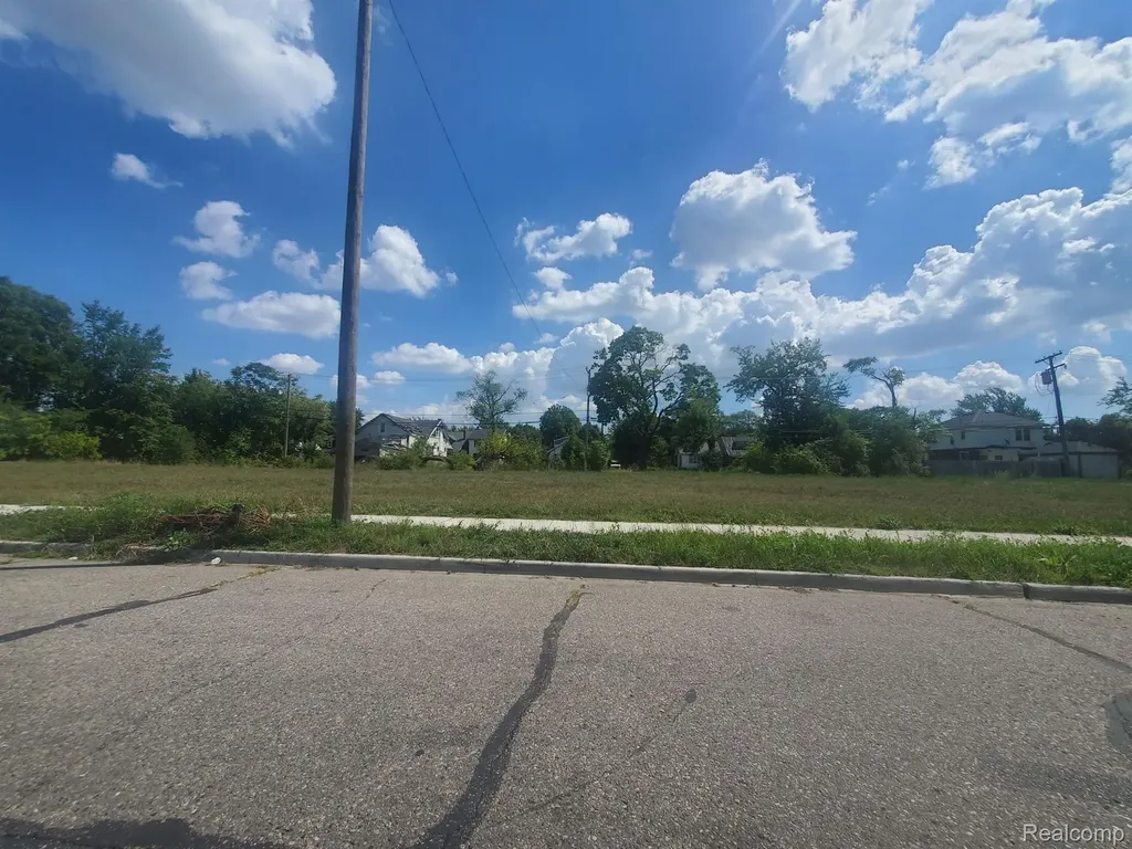 11810 Ohio Street Detroit City MI 48204