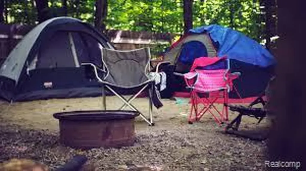 4812 S Ubly Road Bingham Township MI 48475