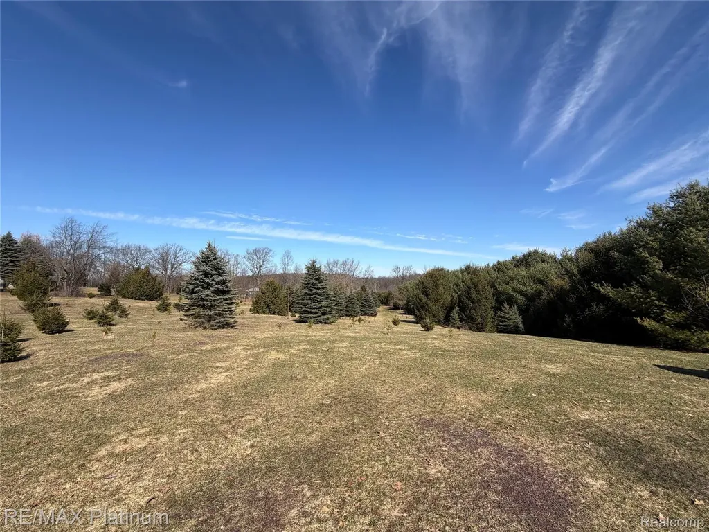 Vl Rohn Road Tyrone Township MI 48430