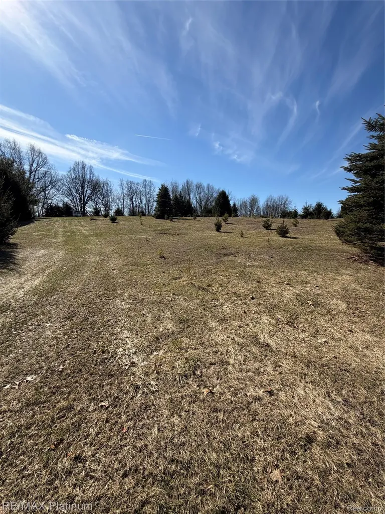 Vl Rohn Road Tyrone Township MI 48430