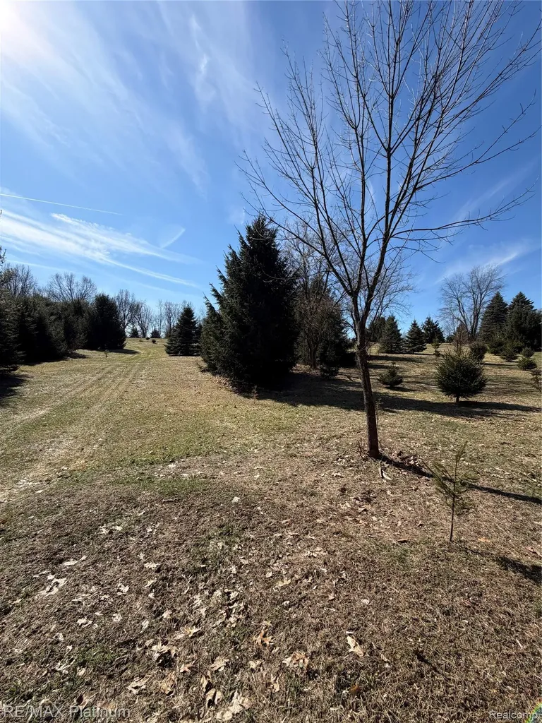 Vl Rohn Road Tyrone Township MI 48430