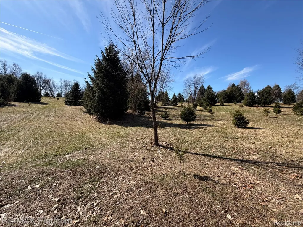 Vl Rohn Road Tyrone Township MI 48430