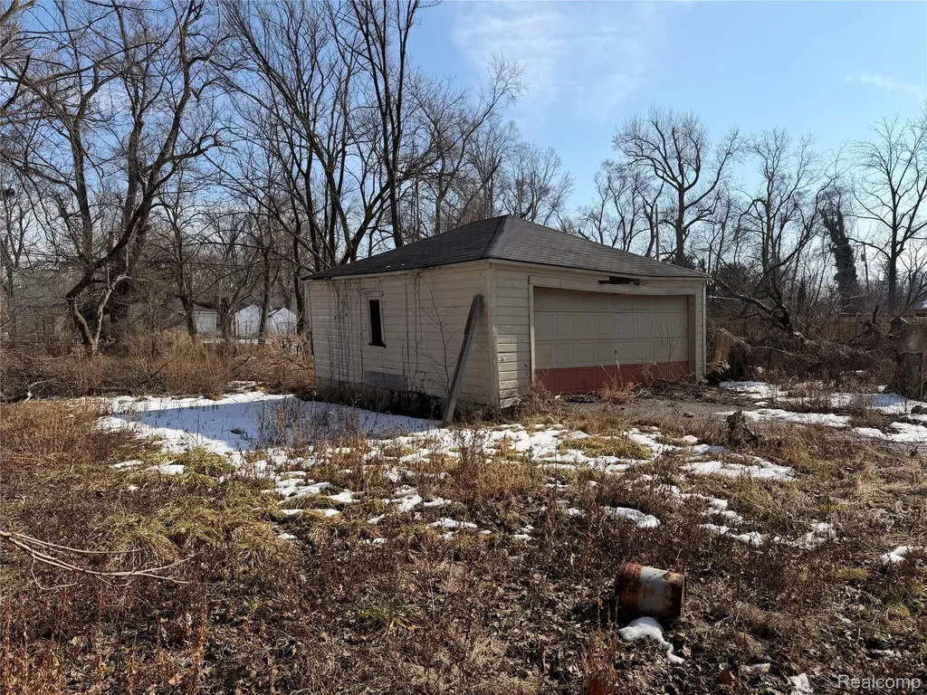 17206 Salem Street Detroit City MI 48219