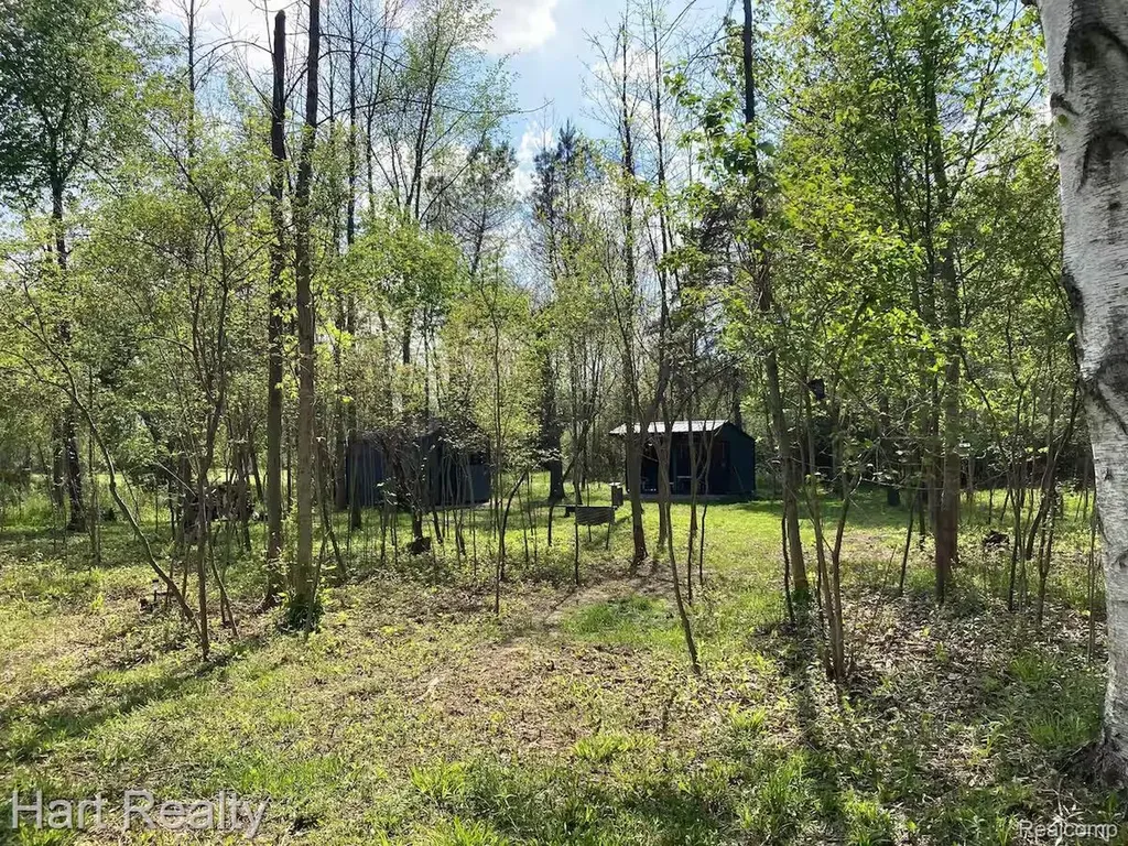 4250 Midway Road Dayton Township MI 48760