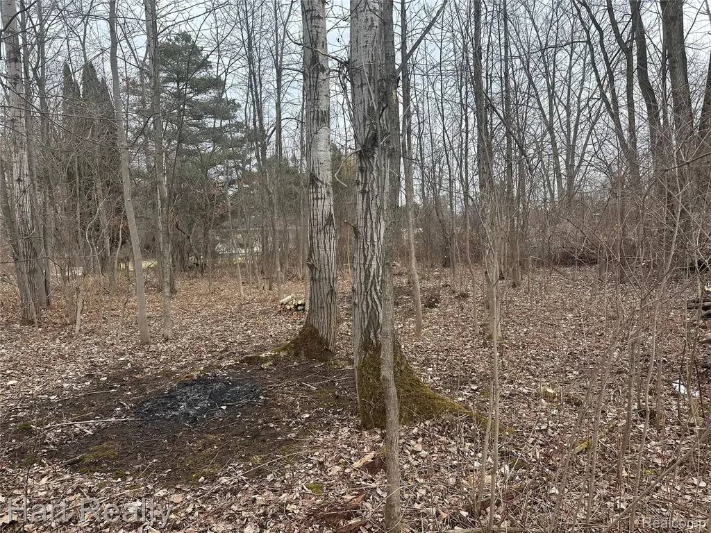 4250 Midway Road Dayton Township MI 48760
