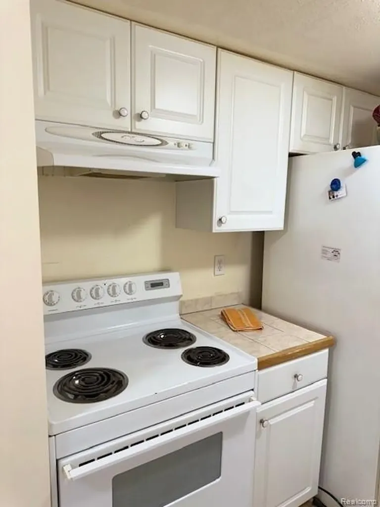 25325 Potomac Drive South Lyon City MI 48178