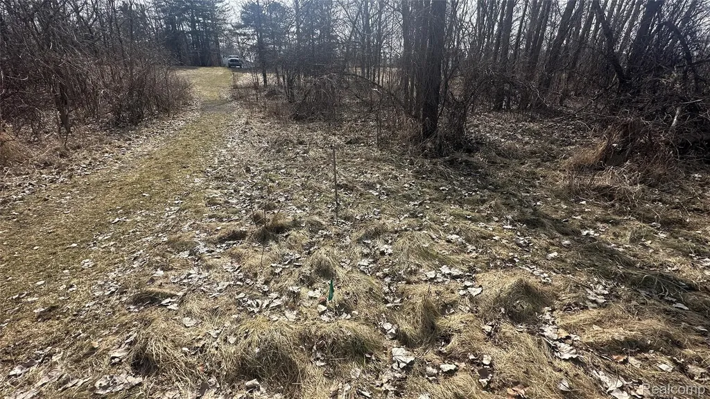 0 Jordan Lake Avenue Lake Odessa Village MI 48849