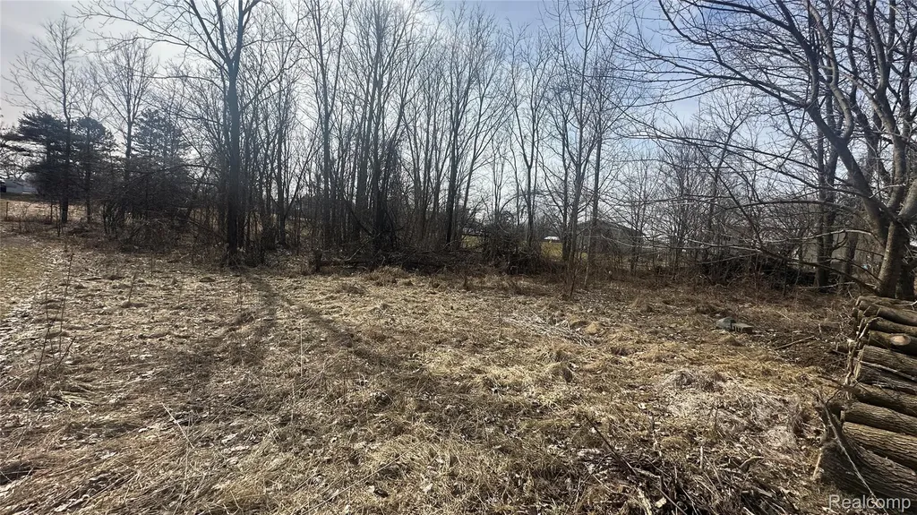 0 Jordan Lake Avenue Lake Odessa Village MI 48849