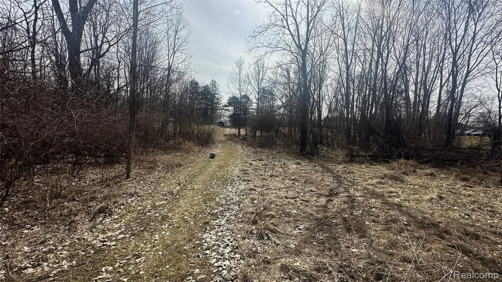 0 Jordan Lake Avenue Lake Odessa Village MI 48849