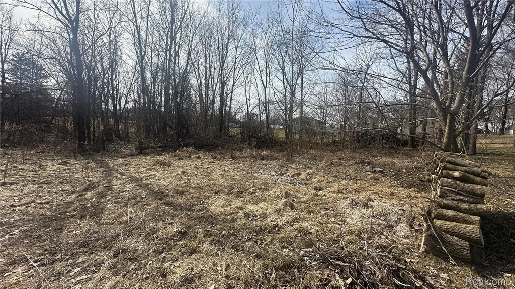 0 Jordan Lake Avenue Lake Odessa Village MI 48849