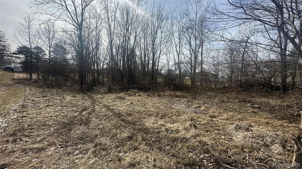 0 Jordan Lake Avenue Lake Odessa Village MI 48849