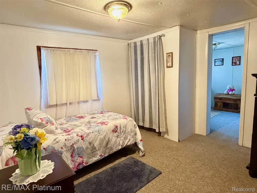 6787 Coon Hill Road Henrietta Township MI 49259