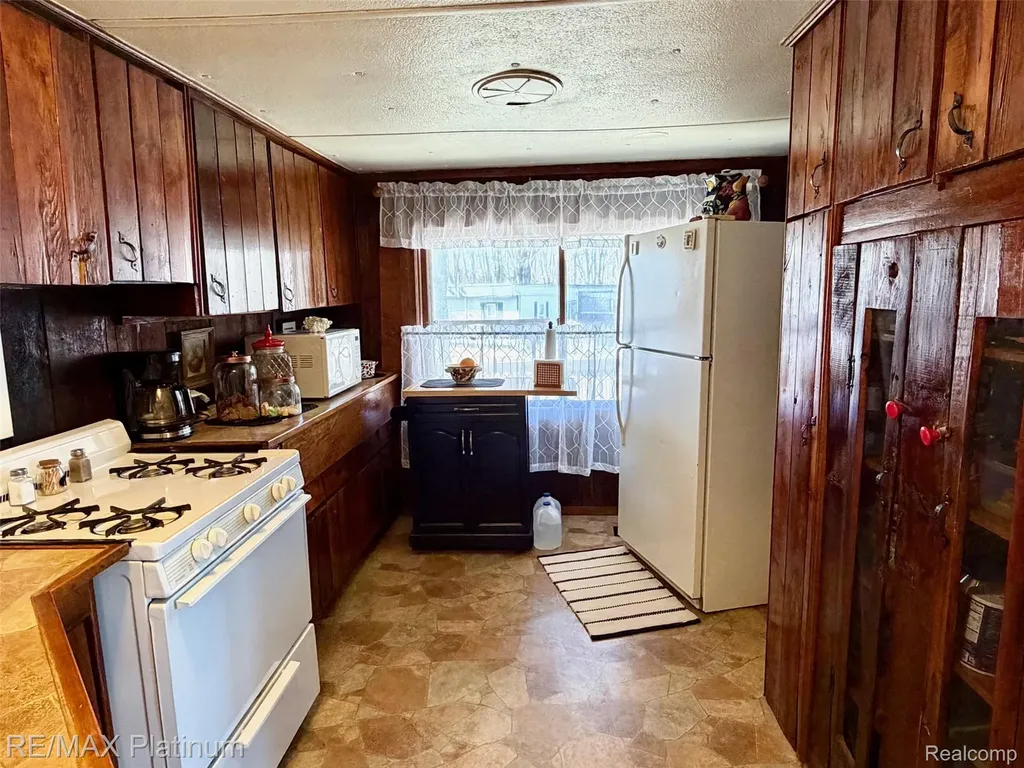 6787 Coon Hill Road Henrietta Township MI 49259