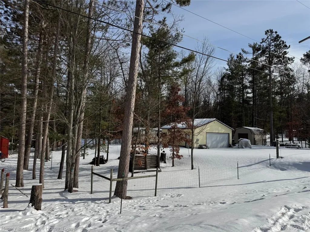 1281 Geesey Avenue Mentor Township MI 48647