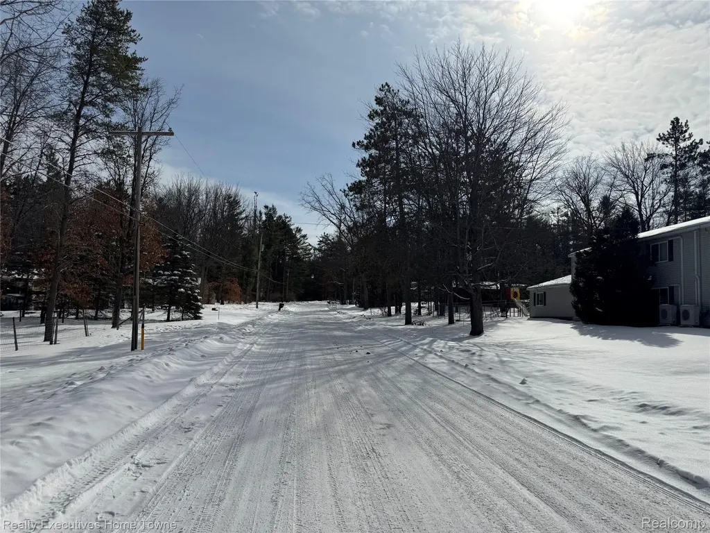 1281 Geesey Avenue Mentor Township MI 48647