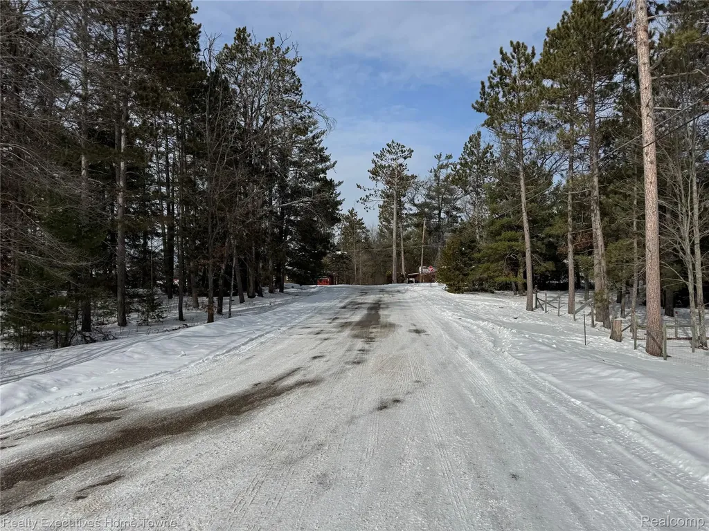 1281 Geesey Avenue Mentor Township MI 48647
