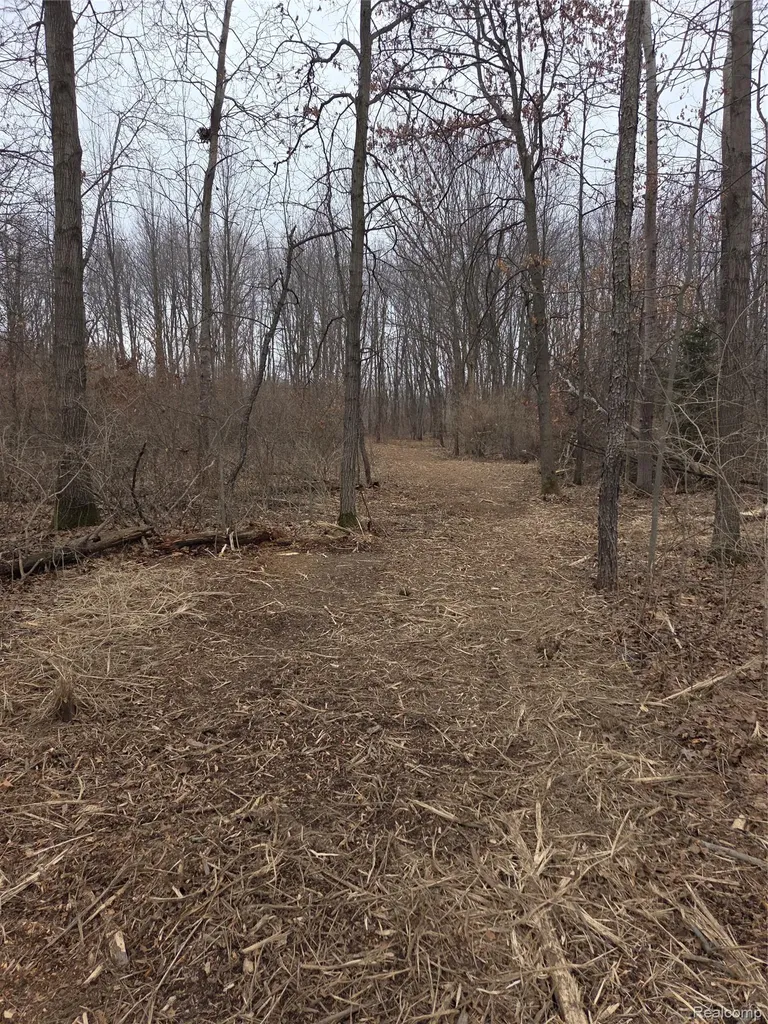 Parcela Cullen Road Cullen Road Hartland Township MI 48353