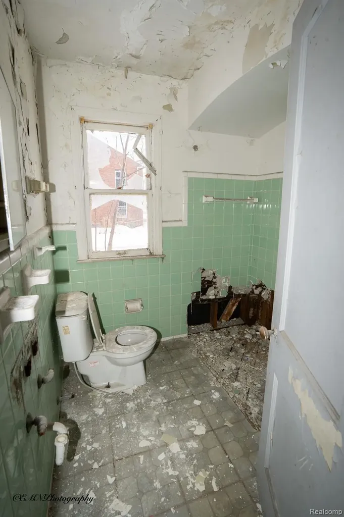 13449 Greiner Street Detroit City MI 48205