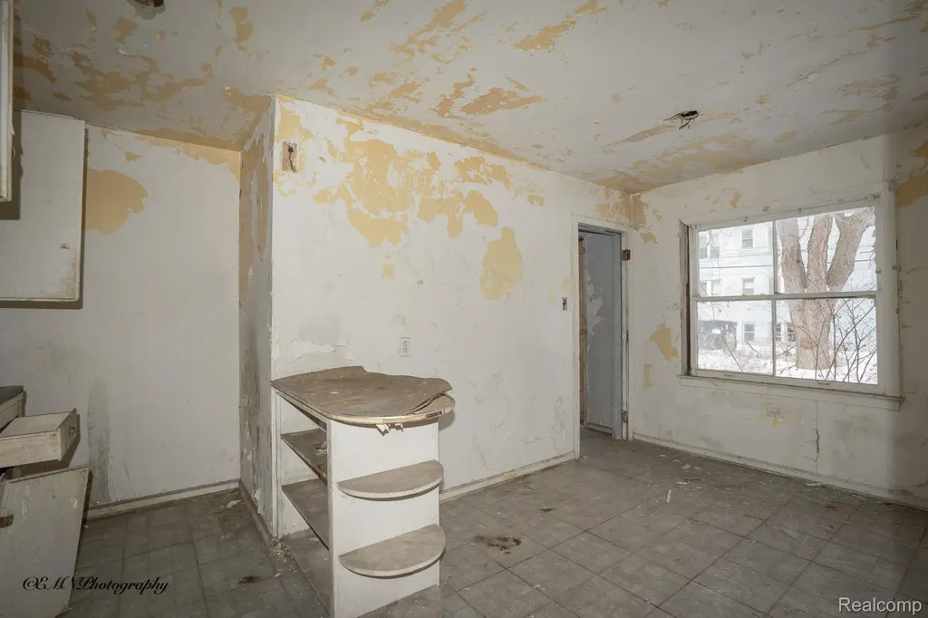 13449 Greiner Street Detroit City MI 48205