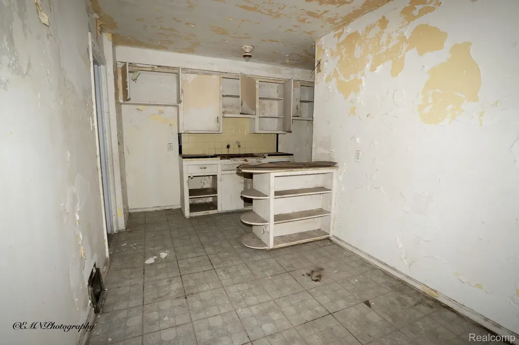 13449 Greiner Street Detroit City MI 48205