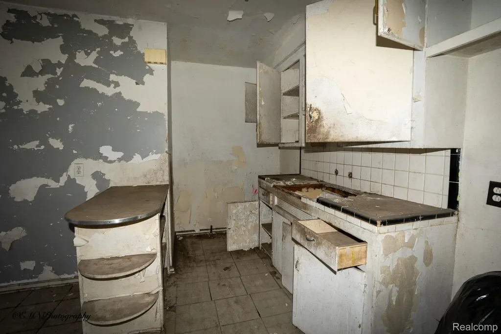 13449 Greiner Street Detroit City MI 48205