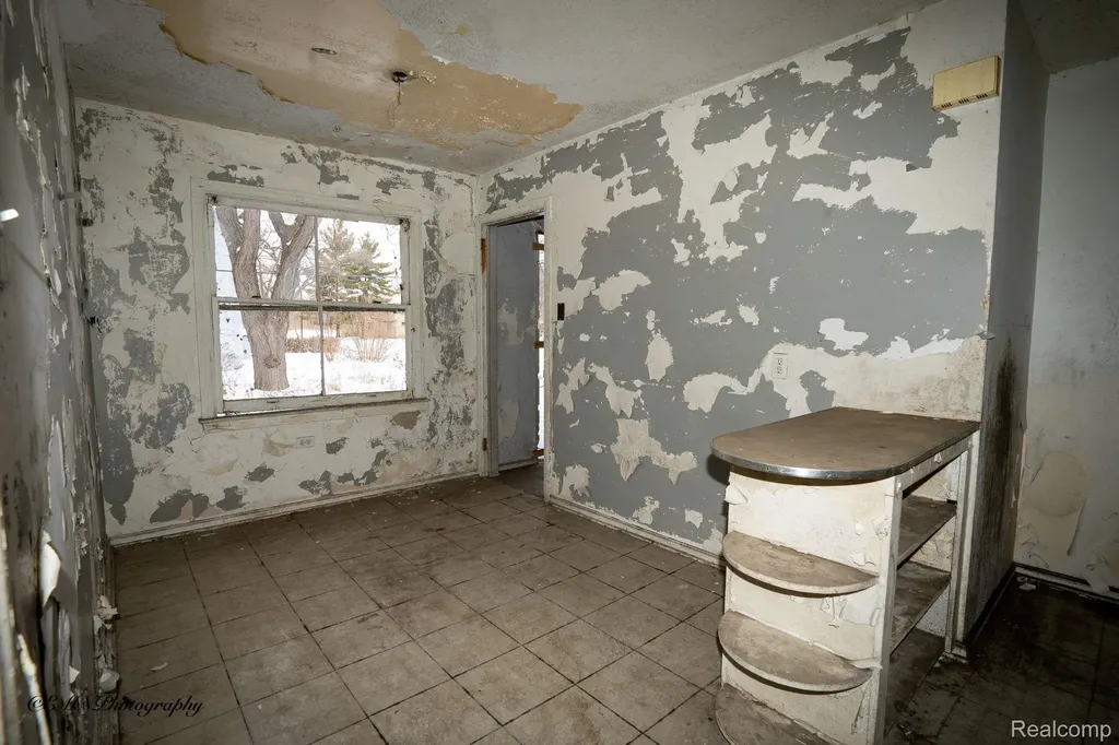13449 Greiner Street Detroit City MI 48205