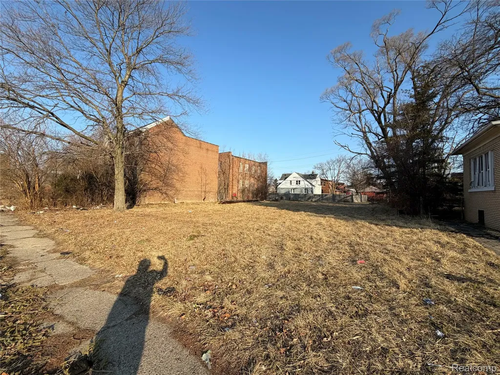 13405 Greiner Street Detroit City MI 48205