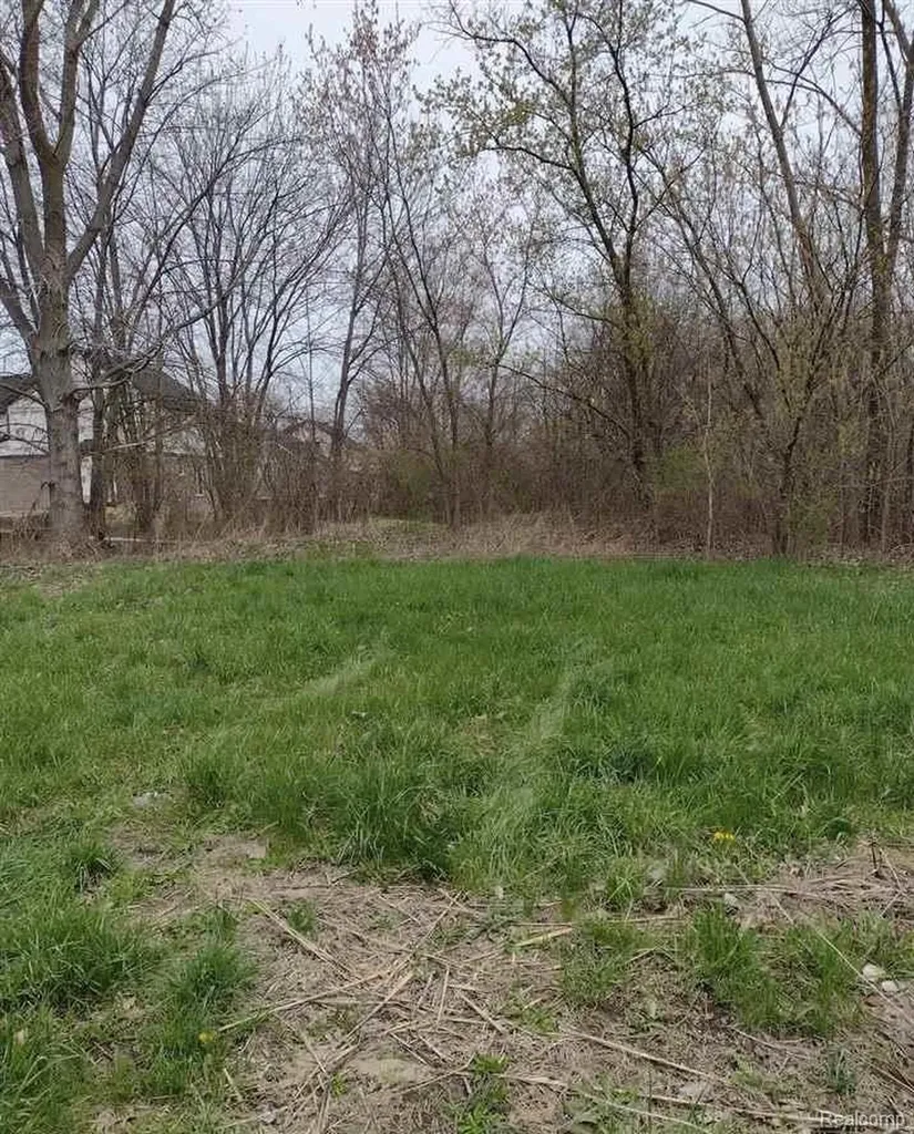 00 N Cotton Road Chesterfield Township MI 48047