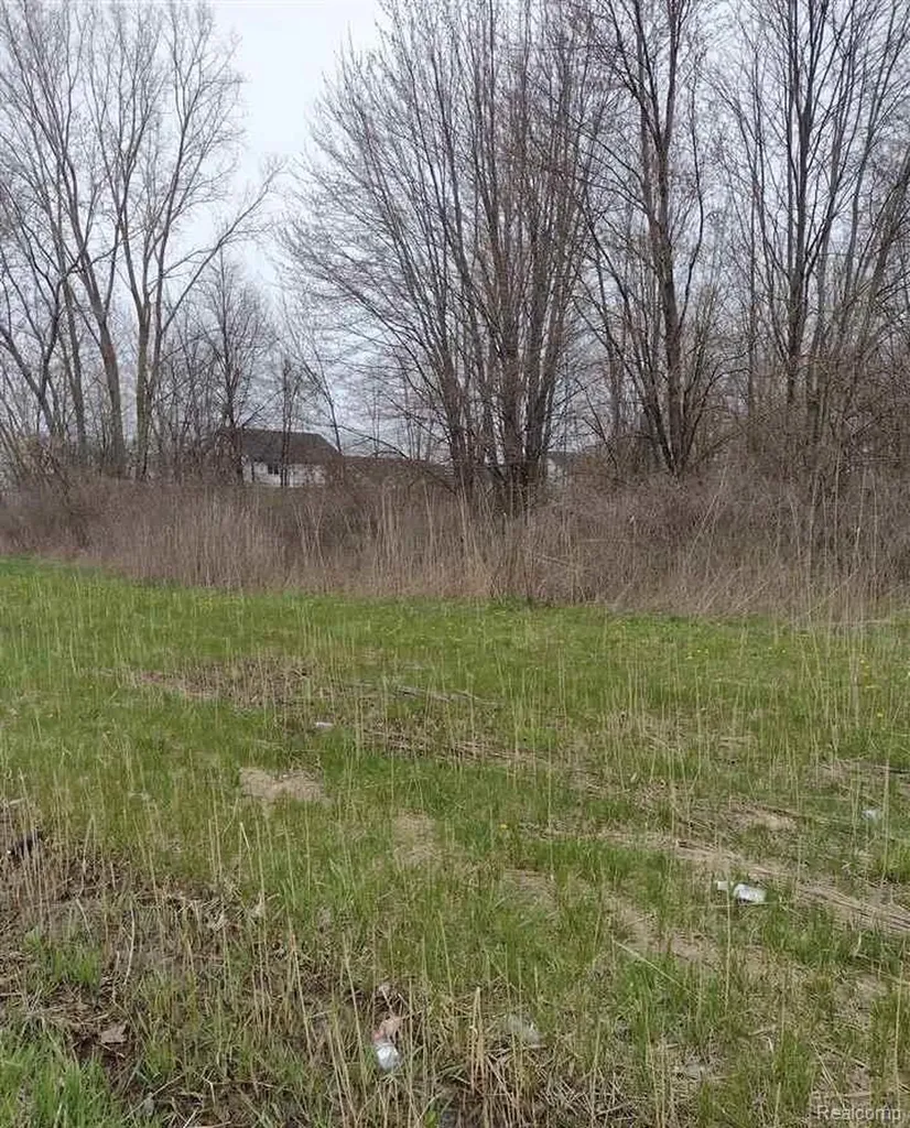 00 N Cotton Road Chesterfield Township MI 48047