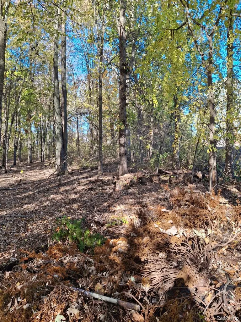 00 N Cotton Road Chesterfield Township MI 48047