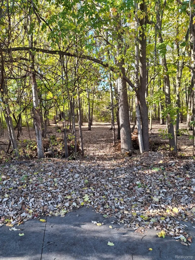 00 N Cotton Road Chesterfield Township MI 48047
