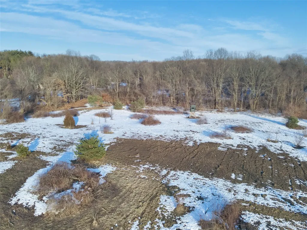 0 Pine Knob Road Independence Charter Township MI 48348