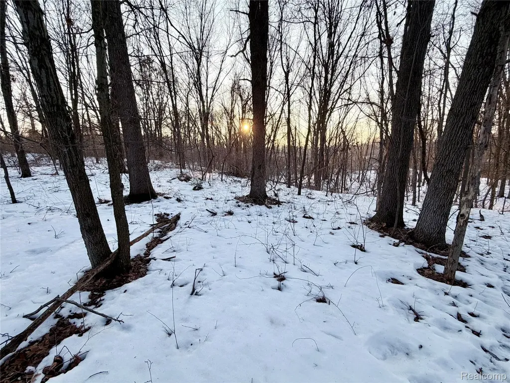 0 Pine Knob Road Independence Charter Township MI 48348