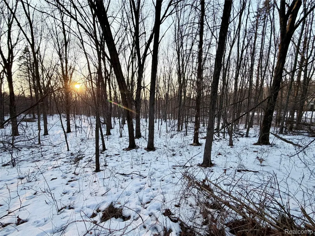 0 Pine Knob Road Independence Charter Township MI 48348