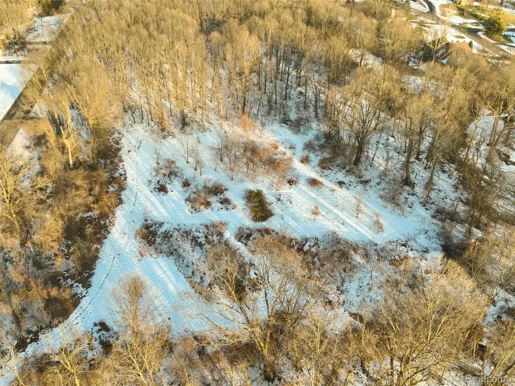 0 Pine Knob Road Independence Charter Township MI 48348