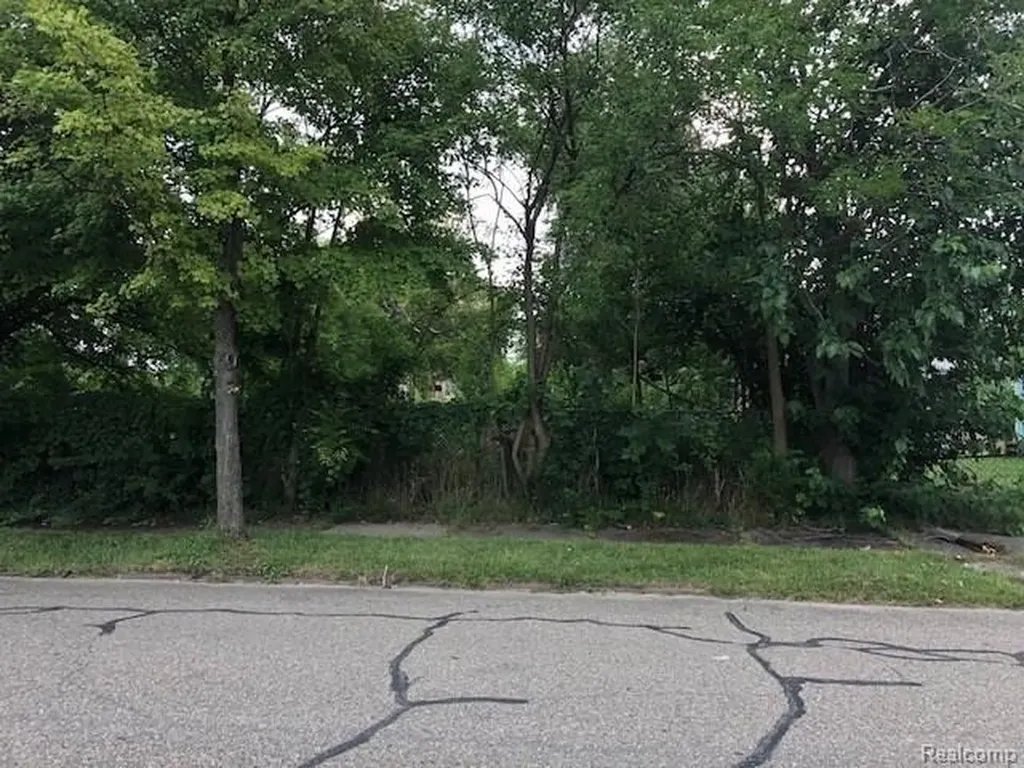 300 Horton Street Detroit City MI 48202